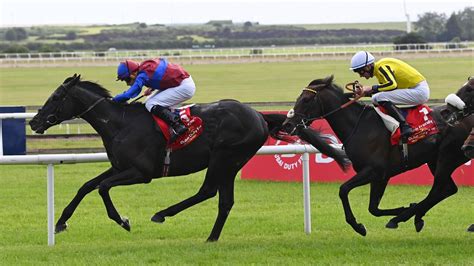 irish derby winners|Los Angeles wins Irish Derby at the Curragh .